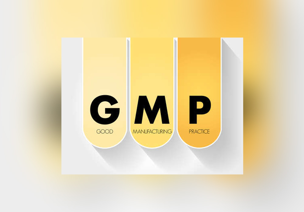 GMP icon